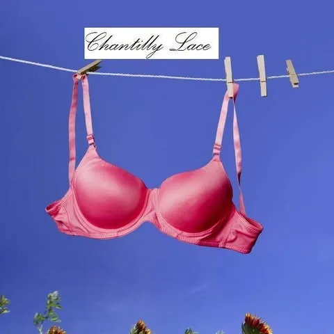 Chantilly Lace avatar
